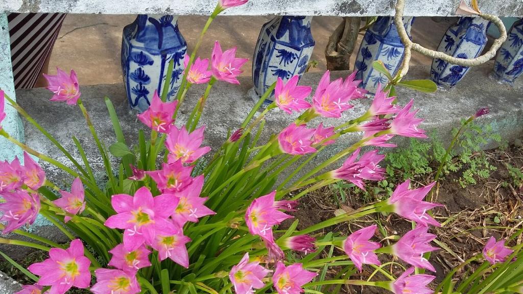 Center Homestay Χόι Αν Εξωτερικό φωτογραφία